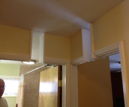 Casey Dilbert DDS Ceiling Lift (3)